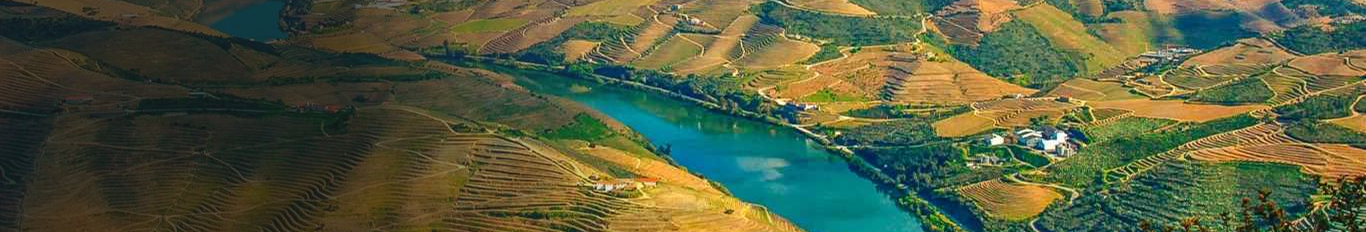 Banner enoturismo desktop